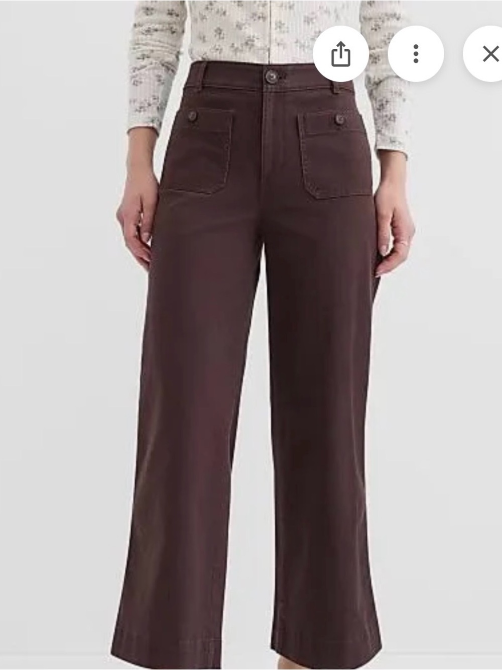 Loft Palmer Wide Leg Brown cropped Pants